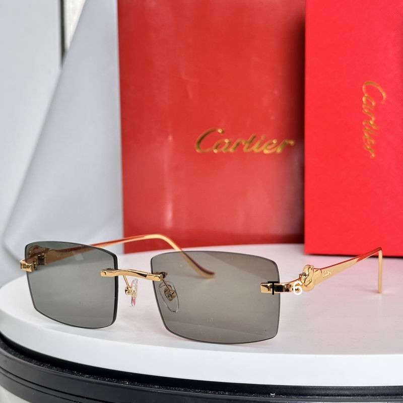 Cartier CT0552S 55 20-135 e04
