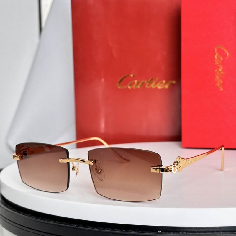 Cartier CT0552S 55 20-135 e05