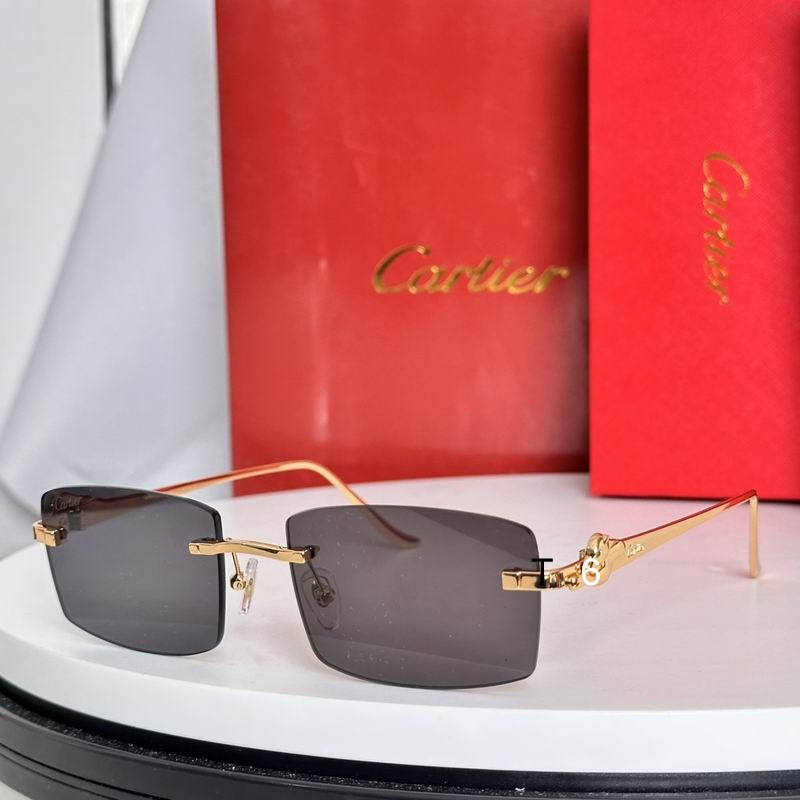 Cartier CT0552S 55 20-135 e06