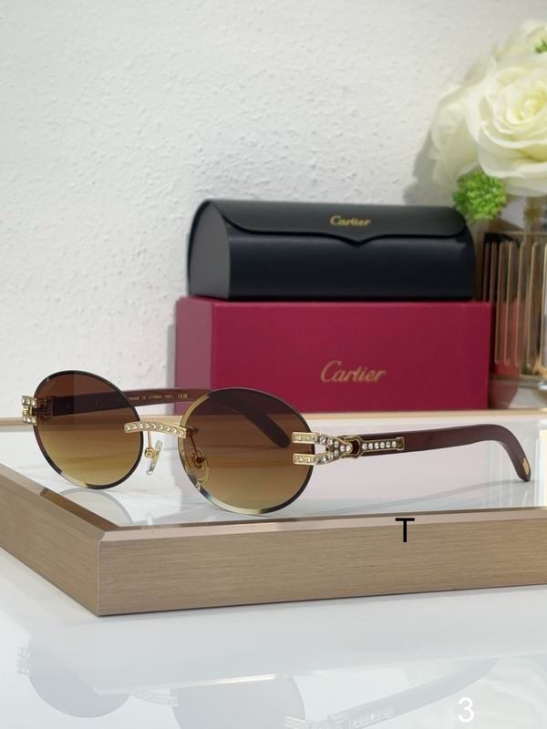 Cartier CT0569S 58 17-143 b03