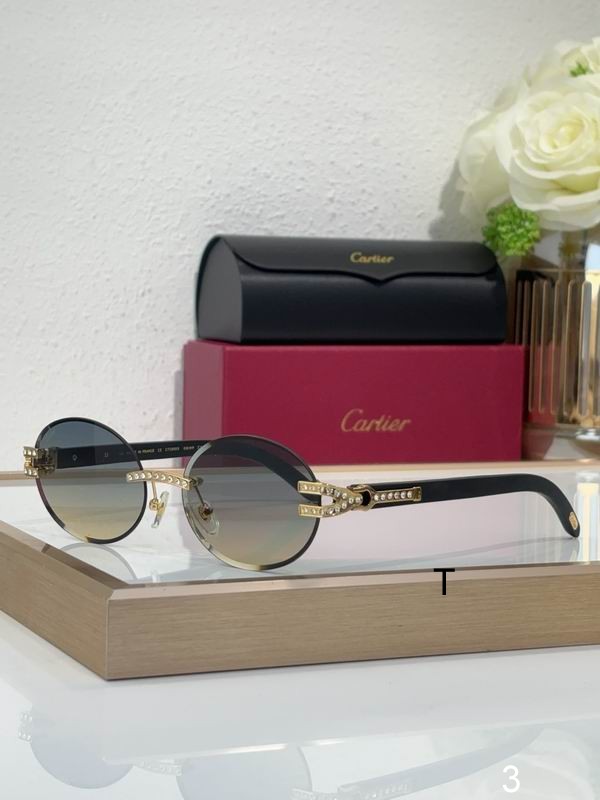Cartier CT0569S 58 17-143 b04
