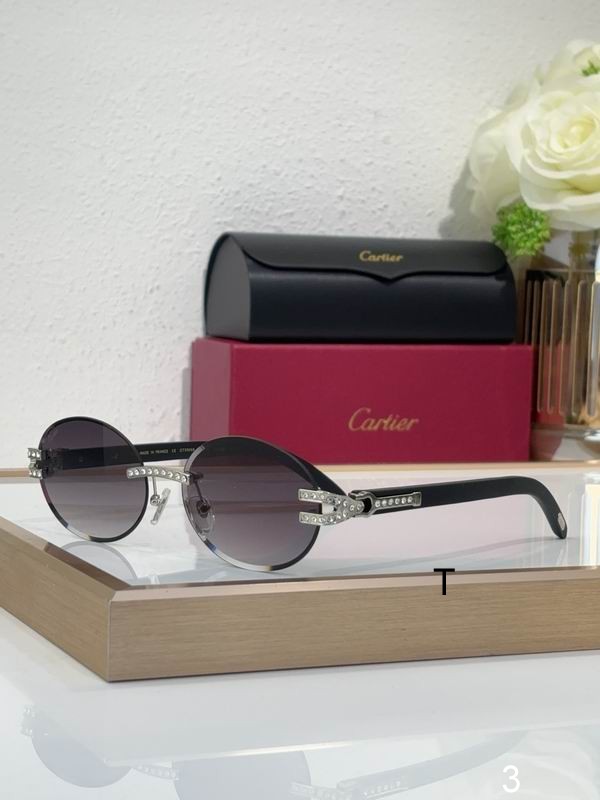 Cartier CT0569S 58 17-143 b05