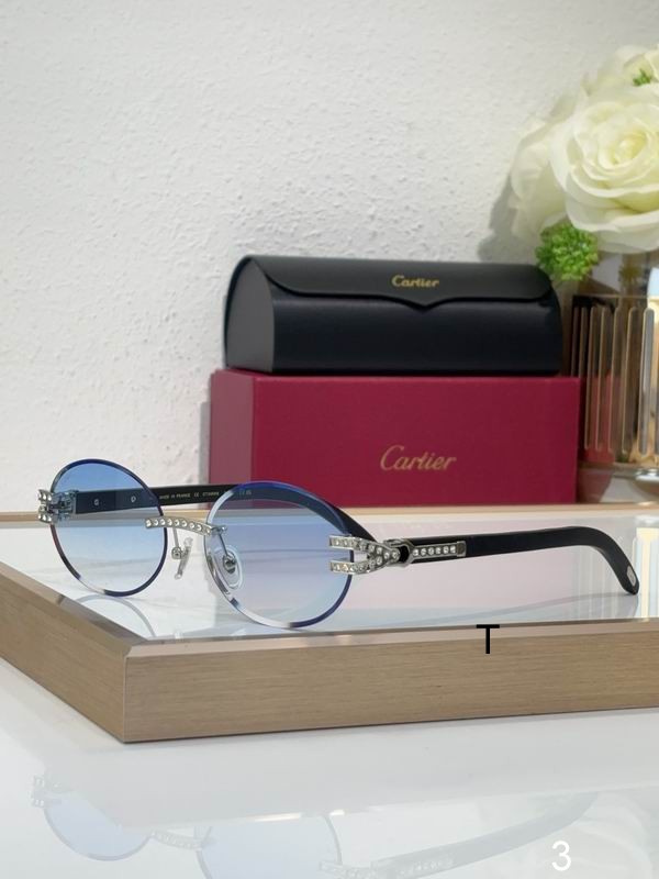 Cartier CT0569S 58 17-143 b06