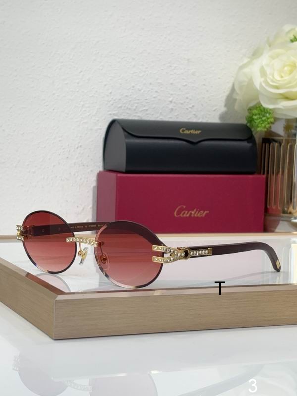 Cartier CT0569S 58 17-143 b07