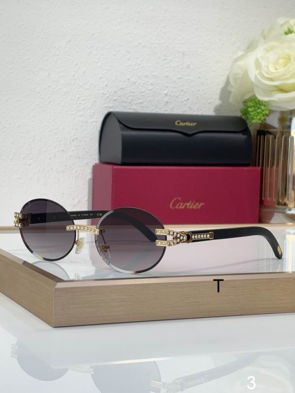 Cartier CT0569S 58 17-143 b08