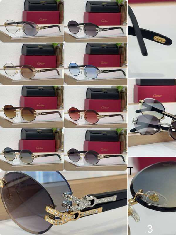 Cartier CT0569S 58 17-143 b10