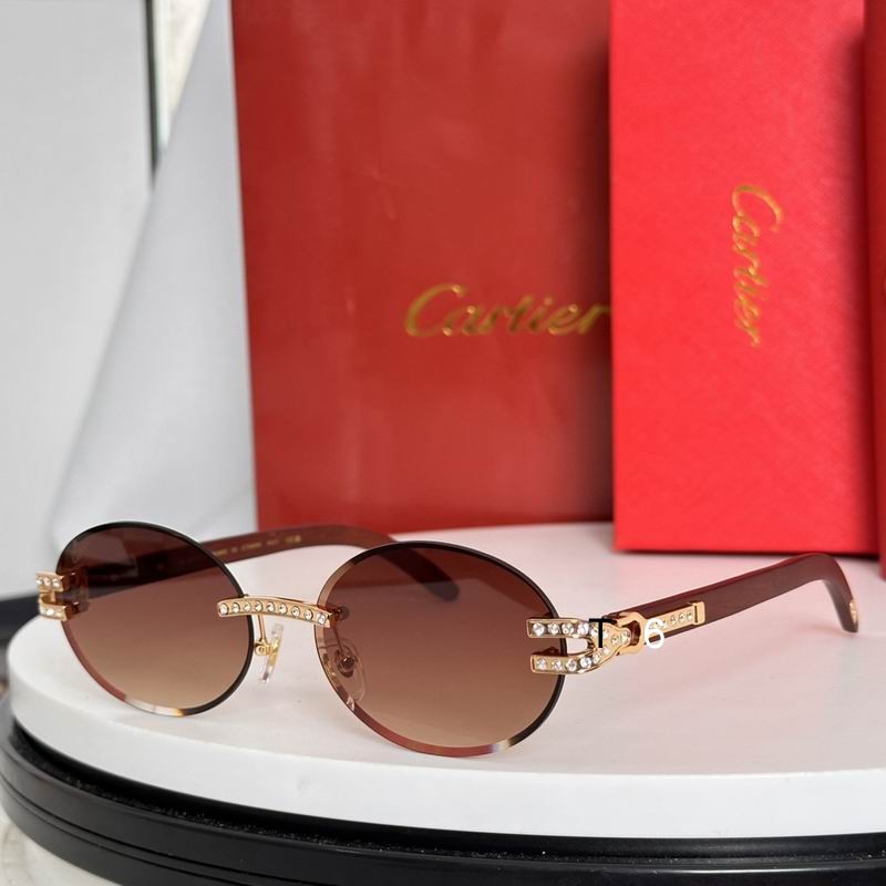 Cartier CT0569S 58 17-143 e03