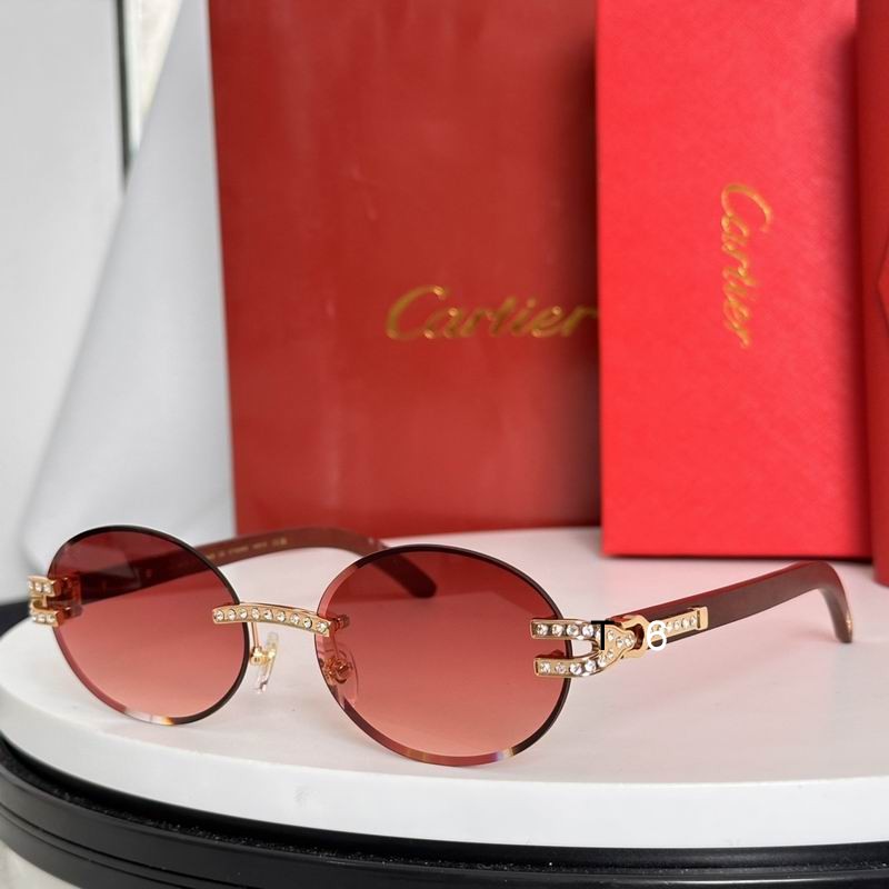 Cartier CT0569S 58 17-143 e04