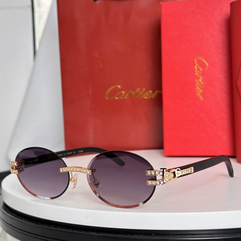 Cartier CT0569S 58 17-143 e05