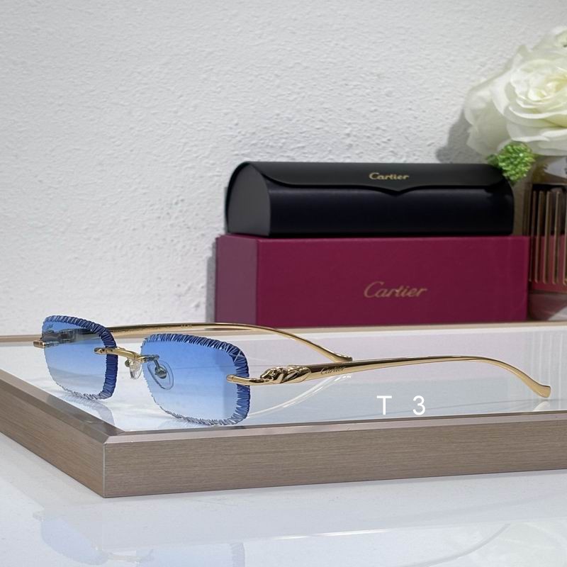 Cartier J 56 17-135 c05