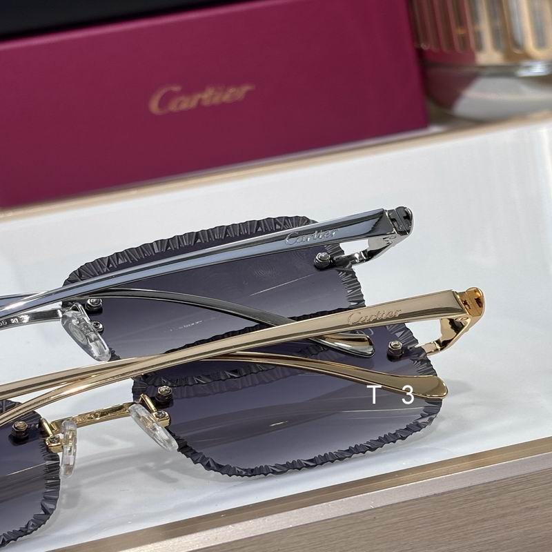 Cartier J 56 17-135 c09
