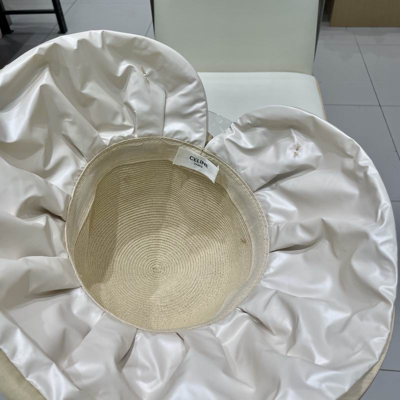 Celine hat (148)