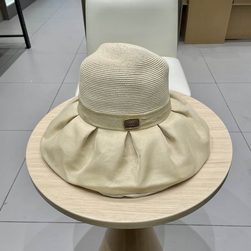 Celine hat (156)