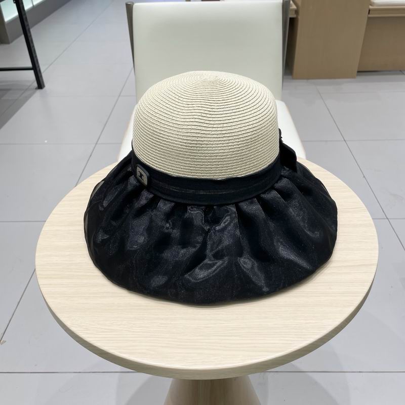 Celine hat (164)