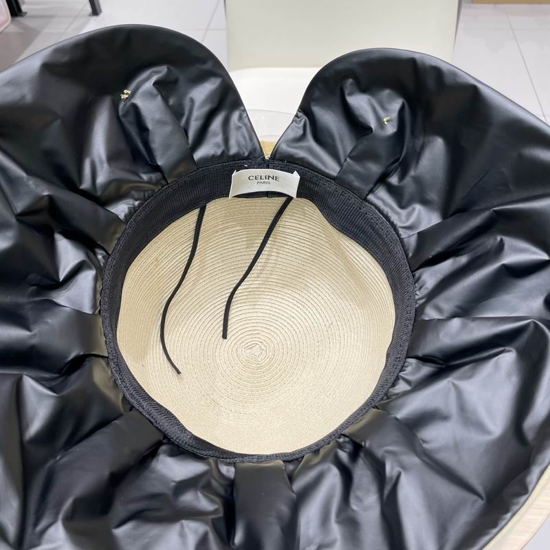 Celine hat (166)