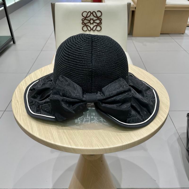 Celine hat (370)