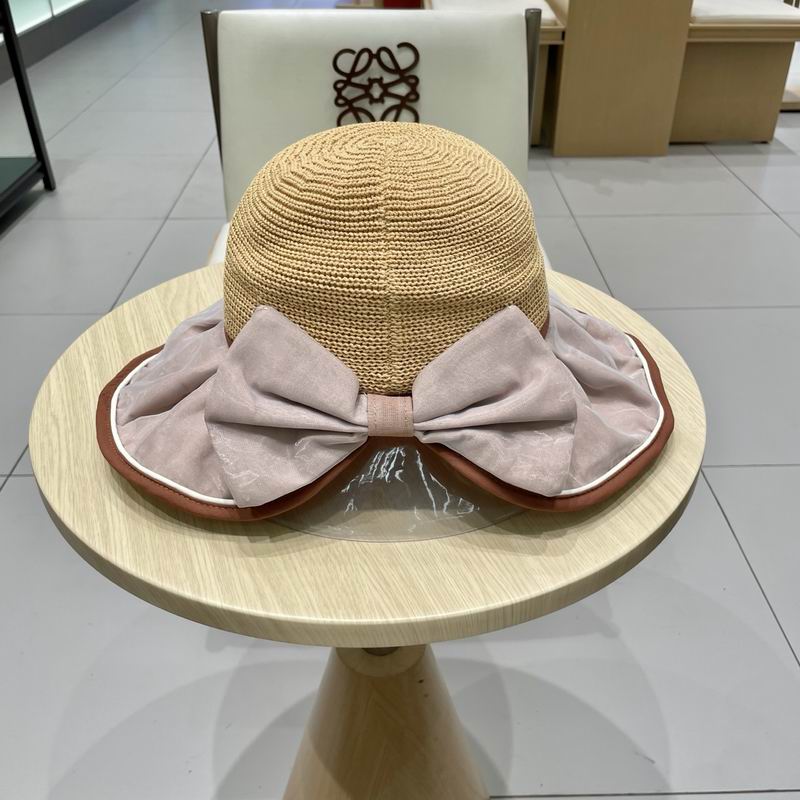 Celine hat (379)