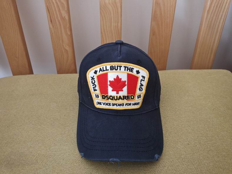 DSQ Cap y  (1)