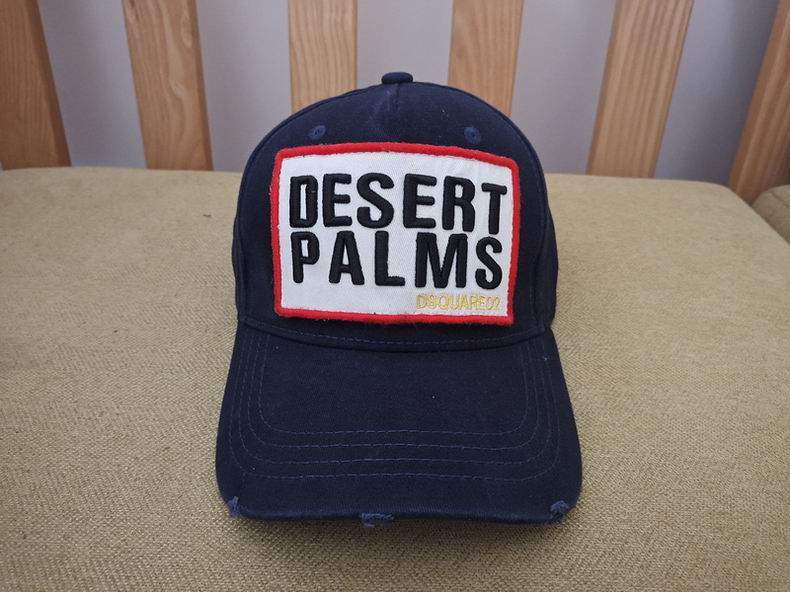DSQ Cap y  (1)