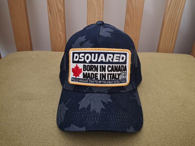 DSQ Cap y  (1)