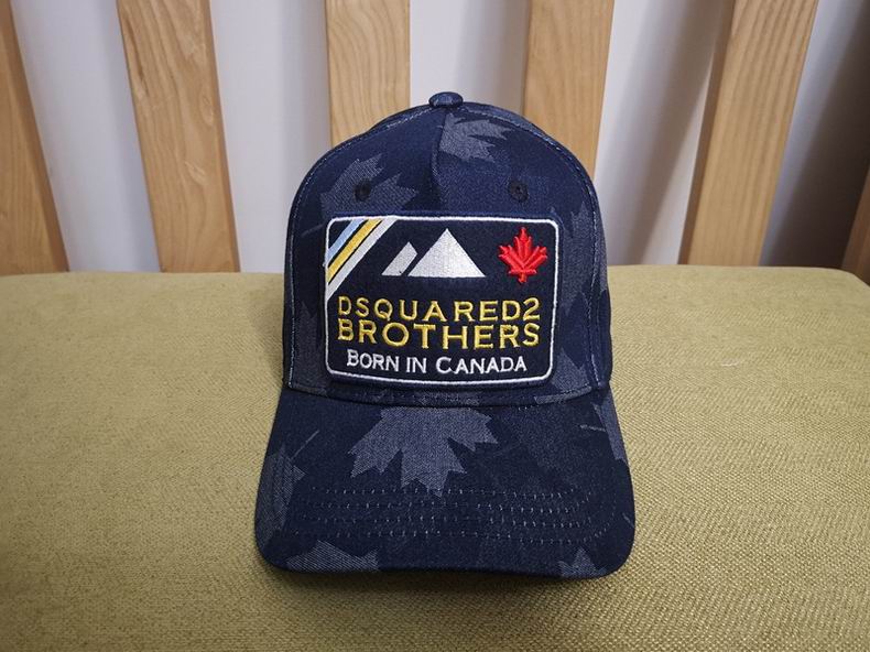 DSQ Cap y  (1)