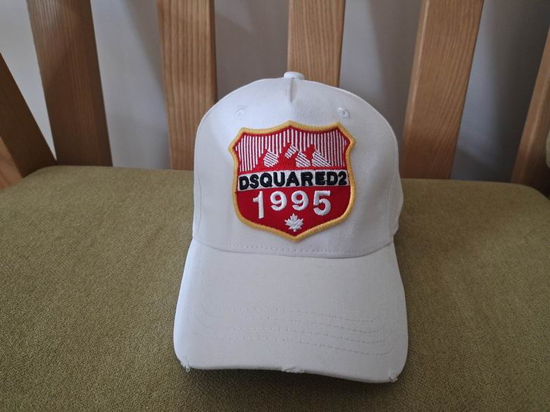 DSQ Cap y  (1)