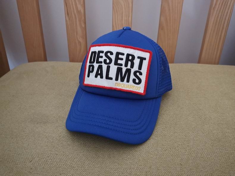 DSQ Cap y  (10)