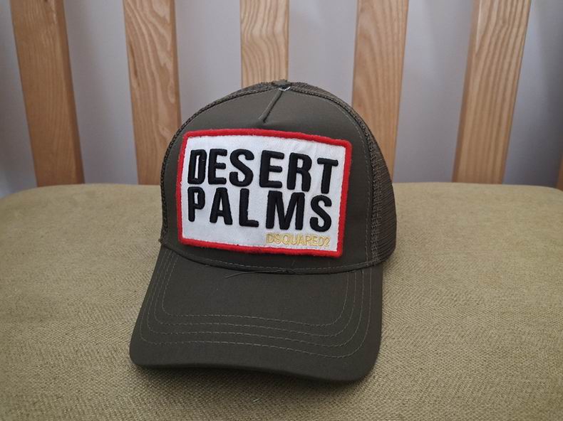 DSQ Cap y  (11)