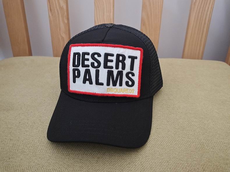 DSQ Cap y  (12)