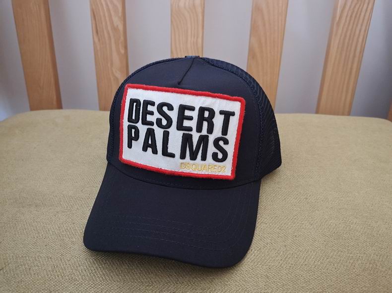 DSQ Cap y  (13)