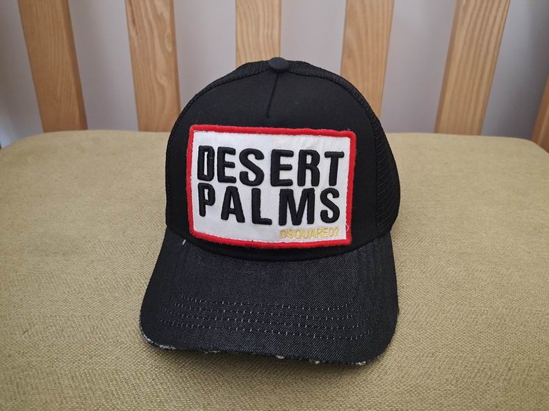 DSQ Cap y  (15)