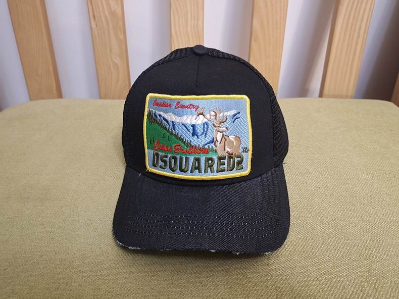 DSQ Cap y  (15)