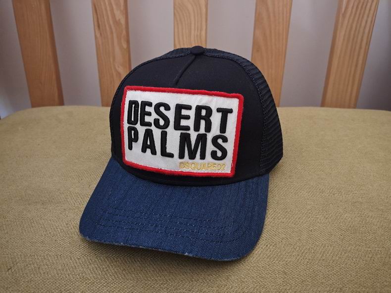 DSQ Cap y  (16)