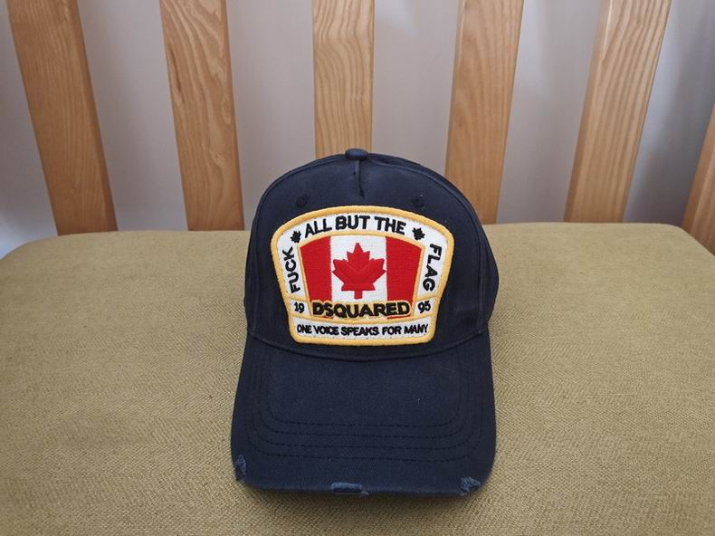 DSQ Cap y  (2)