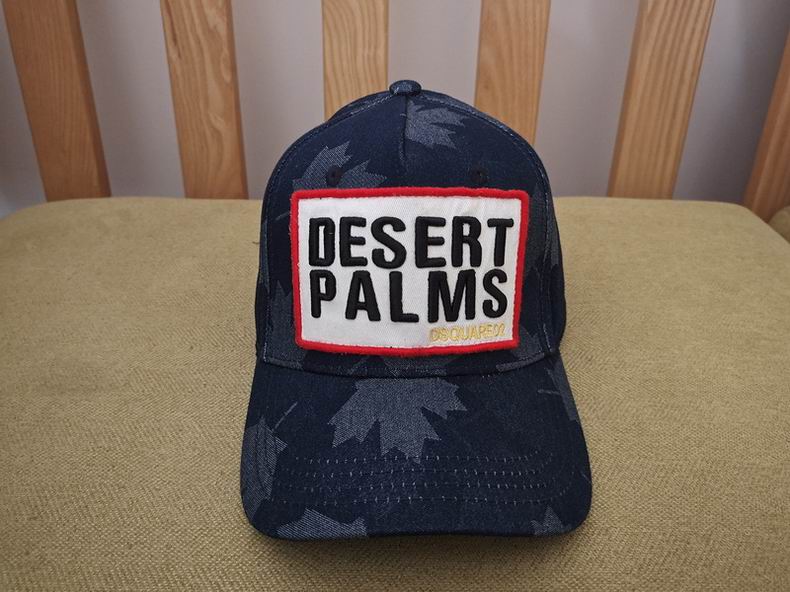 DSQ Cap y  (2)