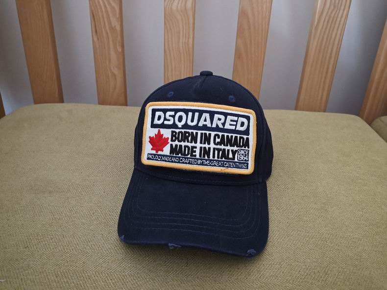 DSQ Cap y  (2)