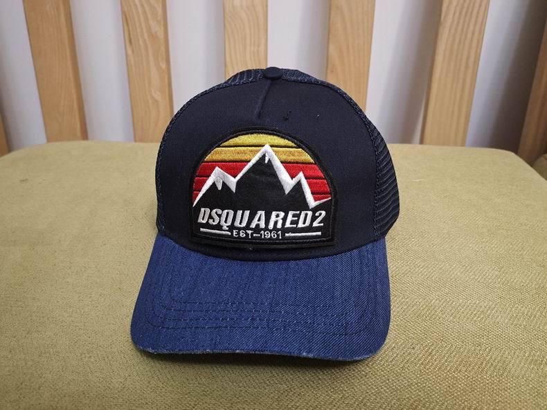 DSQ Cap y  (2)