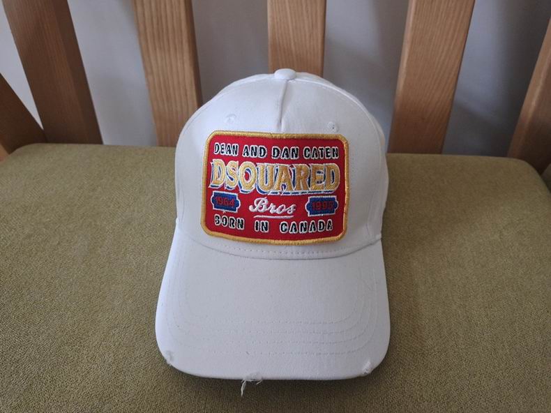 DSQ Cap y  (2)