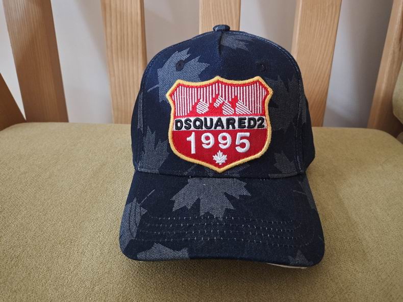 DSQ Cap y  (2)