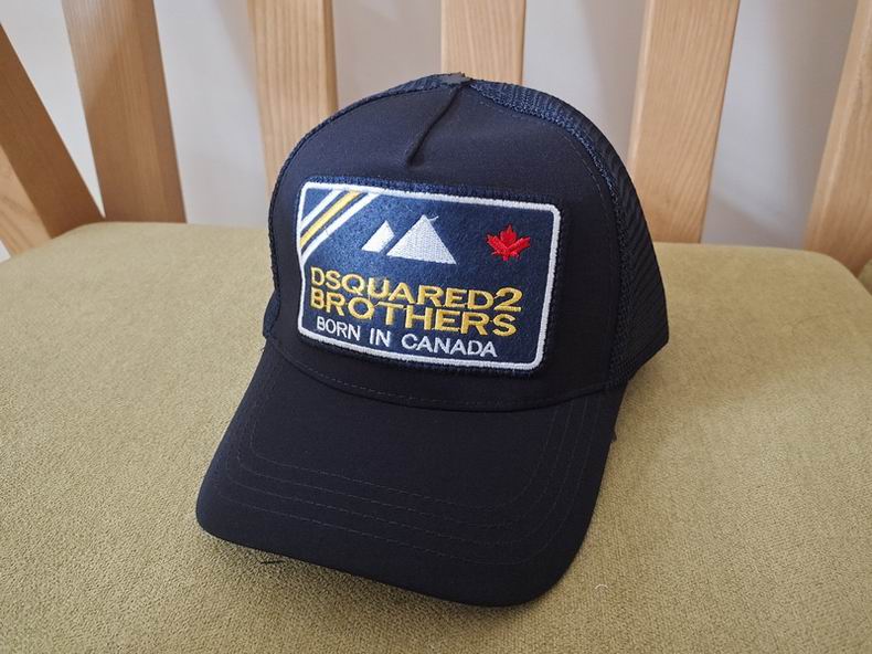 DSQ Cap y  (2)