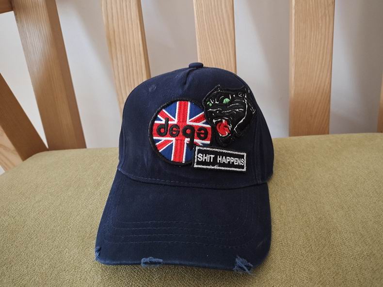 DSQ Cap y  (2)