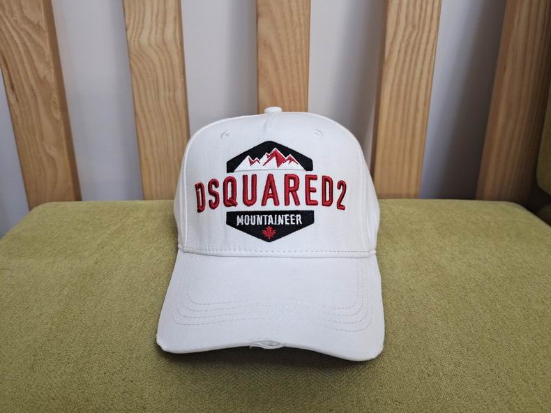 DSQ Cap y  (2)