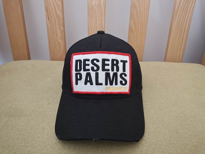 DSQ Cap y  (3)