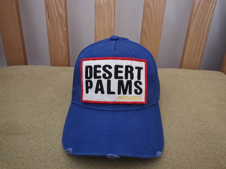 DSQ Cap y  (4)