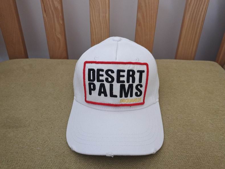 DSQ Cap y  (6)