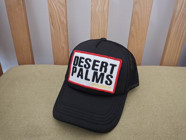 DSQ Cap y  (9)