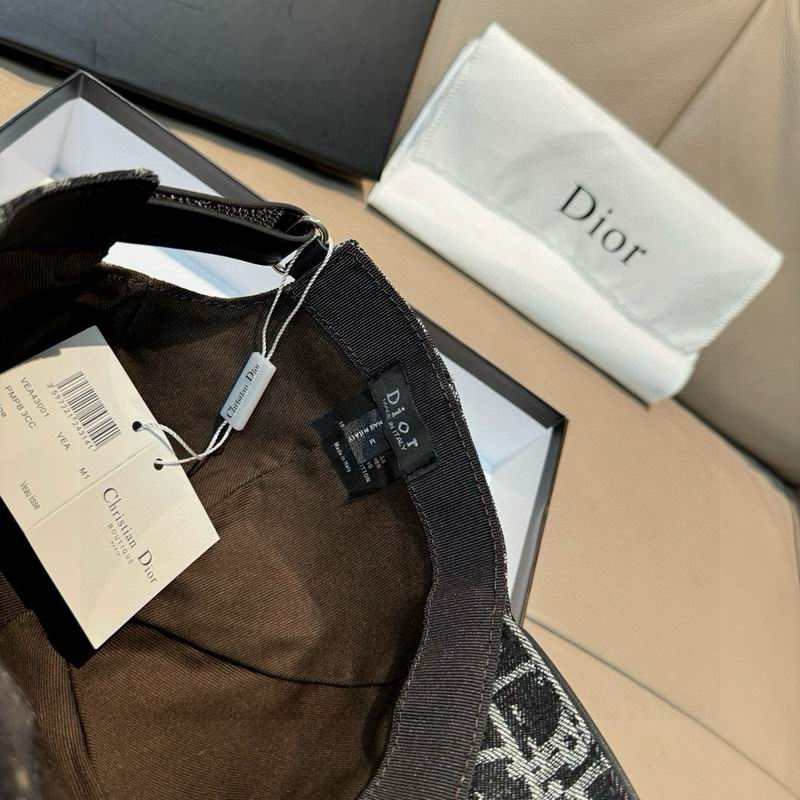 Dior Cap（高版本）dx (17)