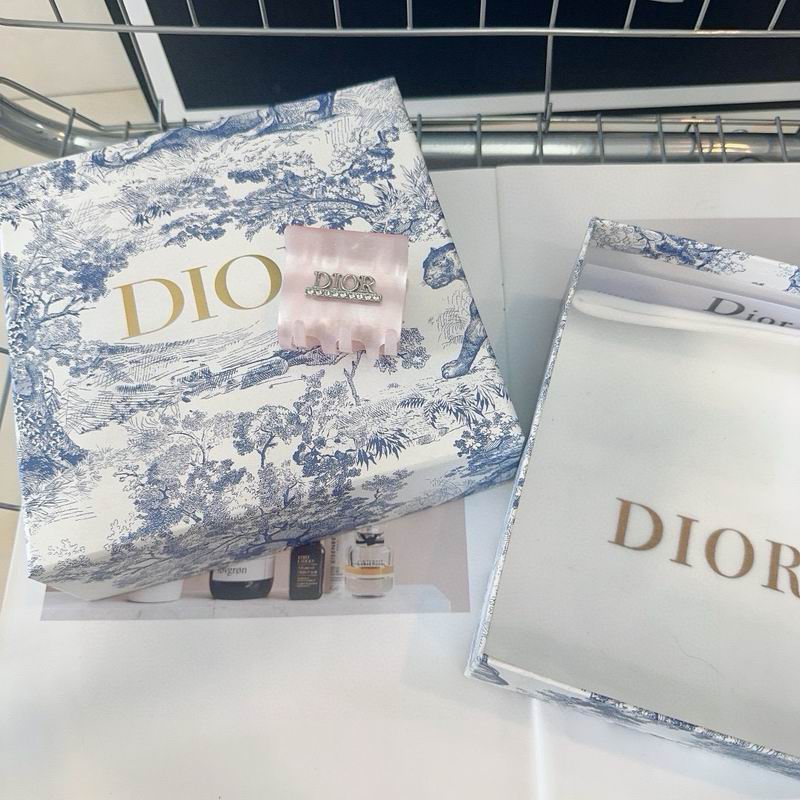 Dior Hair grab clip hh (2)