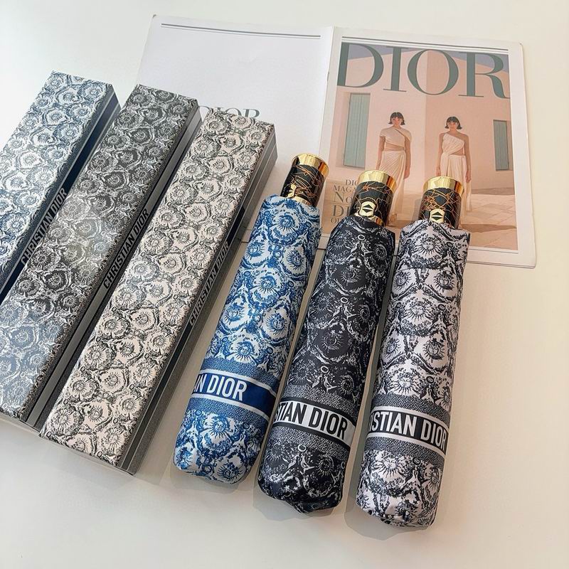 Dior Umbrella (10)