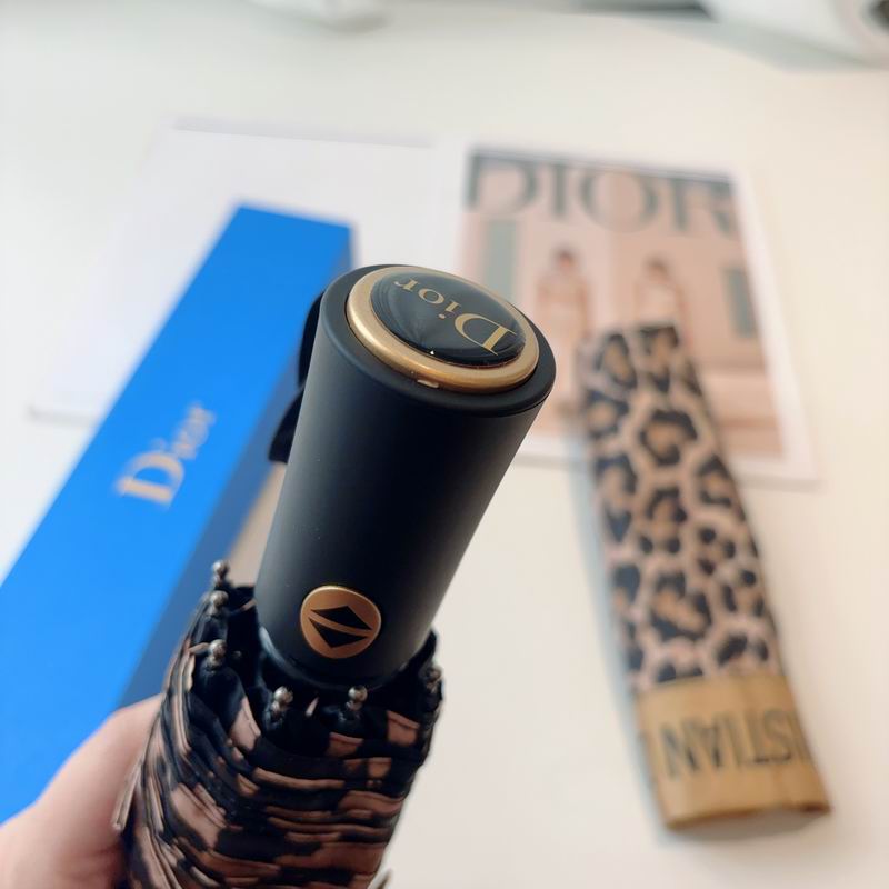 Dior Umbrella (126)